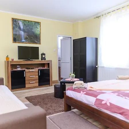 Misljenovic, U Centru Sokobanje, Na Pesackoj Zoni 公寓式酒店 *
