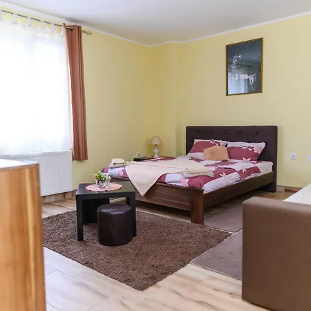 Aparthotel Misljenovic, U Centru Sokobanje, Na Pesackoj Zoni
