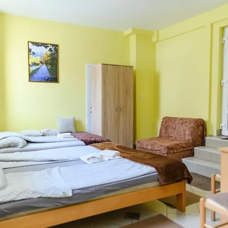 Misljenovic, U Centru Sokobanje, Na Pesackoj Zoni * Soko Banja