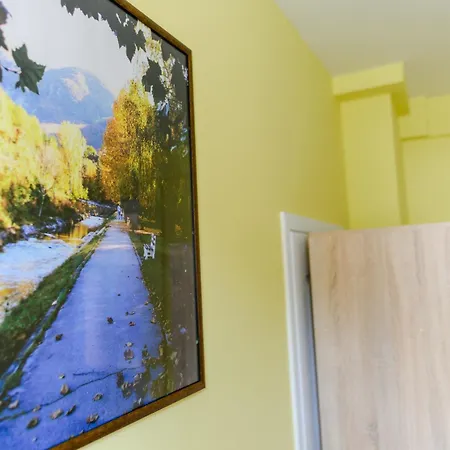 Aparthotel Misljenovic, U Centru Sokobanje, Na Pesackoj Zoni