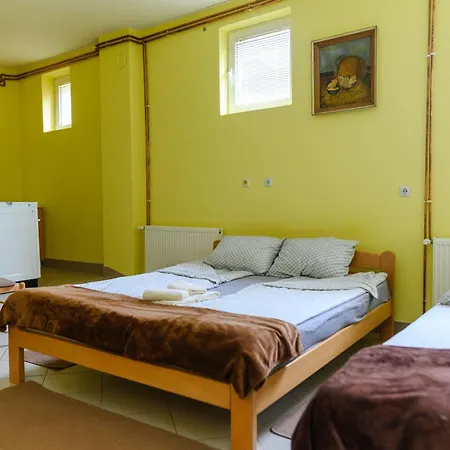 Apartmanhotel Misljenovic, U Centru Sokobanje, Na Pesackoj Zoni 3*