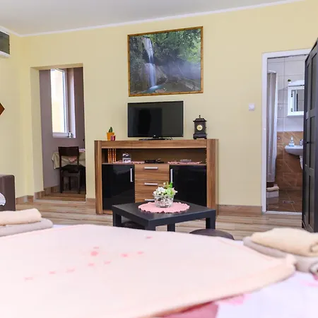 Misljenovic, U Centru Sokobanje, Na Pesackoj Zoni Soko Banja