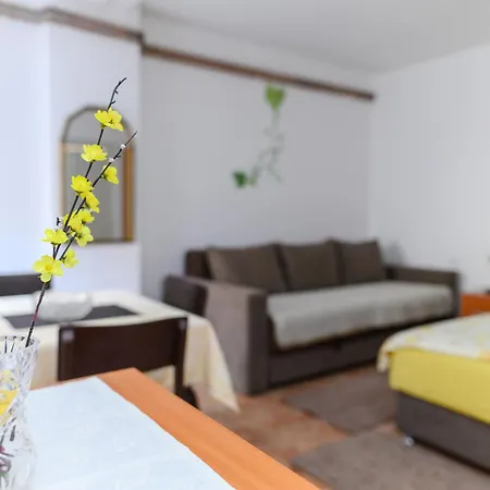 Misljenovic, U Centru Sokobanje, Na Pesackoj Zoni 3*