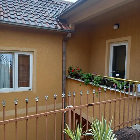 Misljenovic, U Centru Sokobanje, Na Pesackoj Zoni