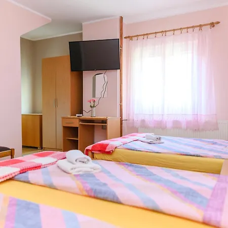 Aparthotel Misljenovic, U Centru Sokobanje, Na Pesackoj Zoni *