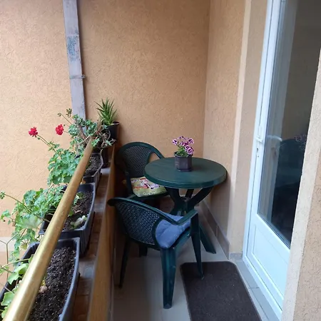 Misljenovic, U Centru Sokobanje, Na Pesackoj Zoni 3*