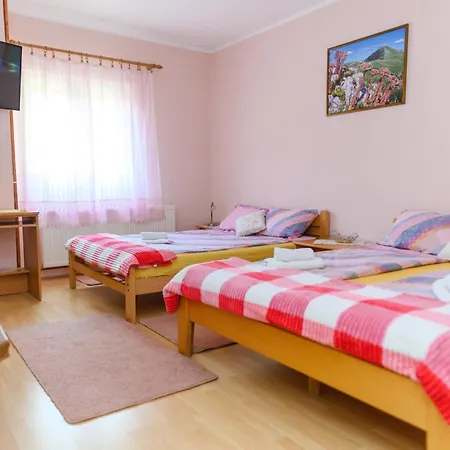 Misljenovic, U Centru Sokobanje, Na Pesackoj Zoni Aparthotel