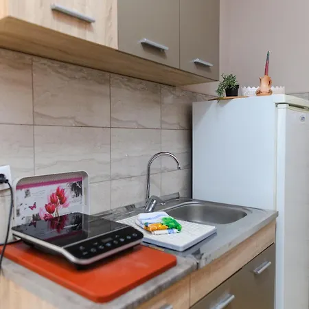 Apartmanhotel Misljenovic, U Centru Sokobanje, Na Pesackoj Zoni Sokobanja