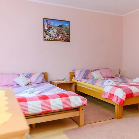 Apartmanhotel Misljenovic, U Centru Sokobanje, Na Pesackoj Zoni 3*