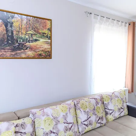 Misljenovic, U Centru Sokobanje, Na Pesackoj Zoni *