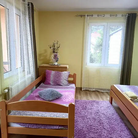 Misljenovic, U Centru Sokobanje, Na Pesackoj Zoni Apartmanhotel 3*